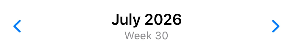 Date Nav preview