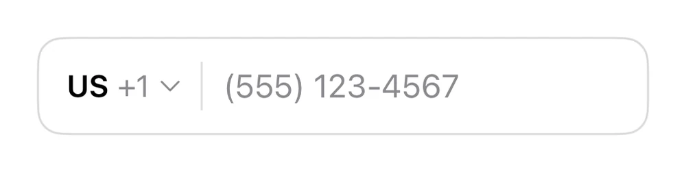 Phone Field preview