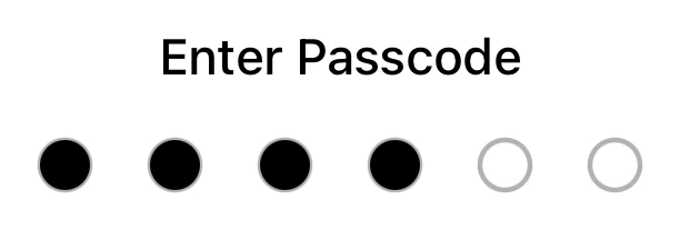 Passcode Field preview