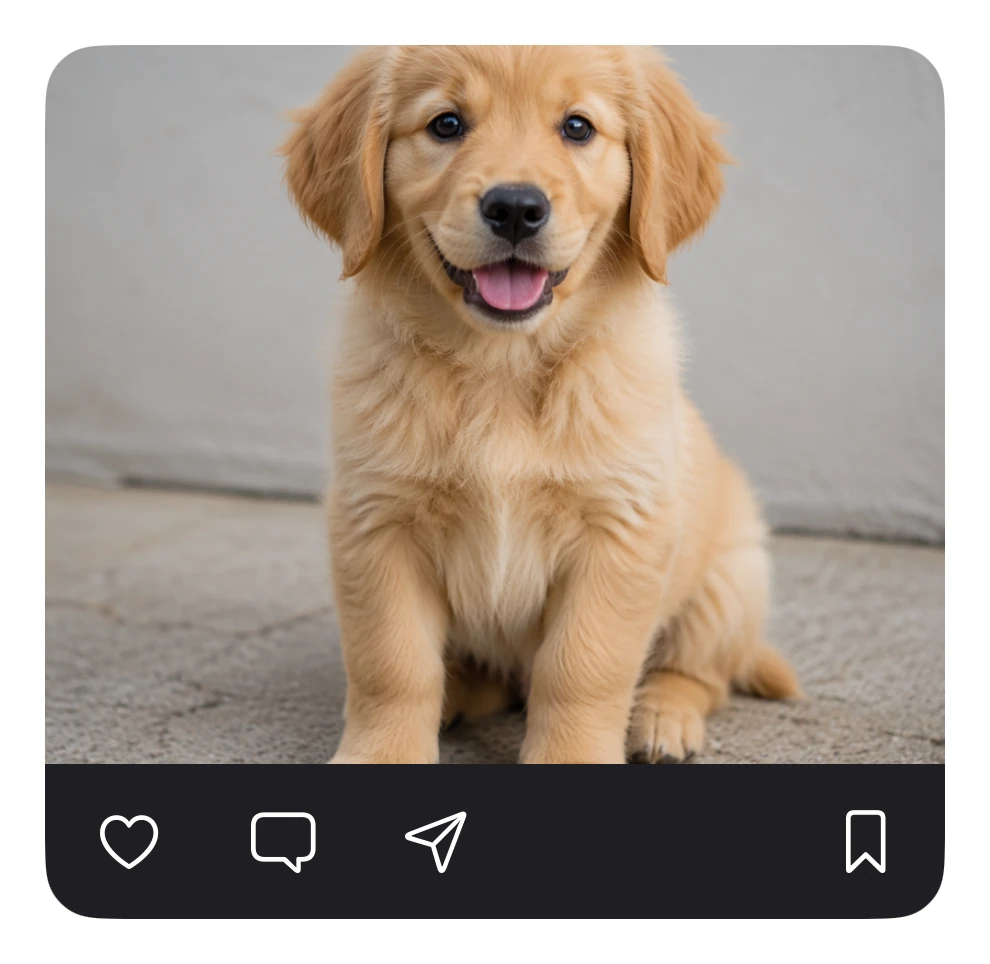 Photo Viewer preview